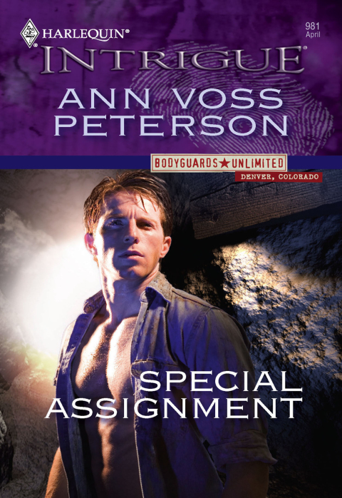 Cover image for book Special Assignment