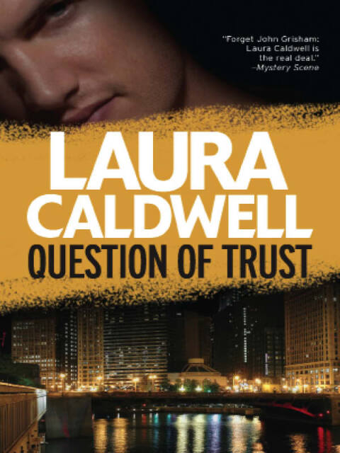 Cover image for book Question of Trust