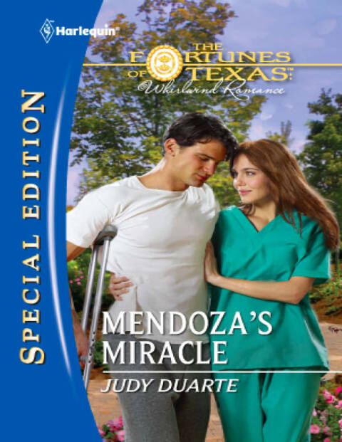 Cover image for book Mendoza's Miracle