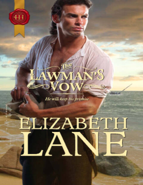 Cover image for book The Lawman's Vow