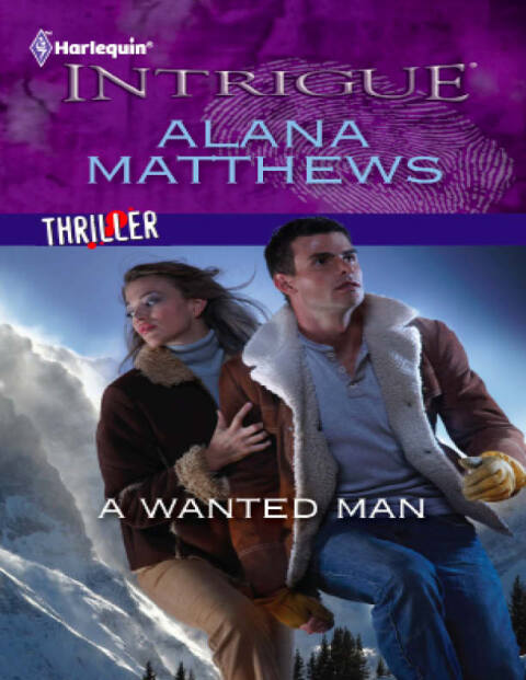 Cover image for book A Wanted Man