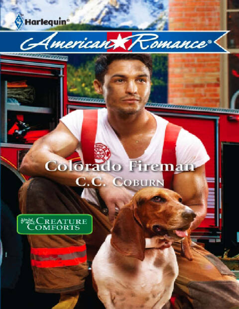 Cover image for book Colorado Fireman