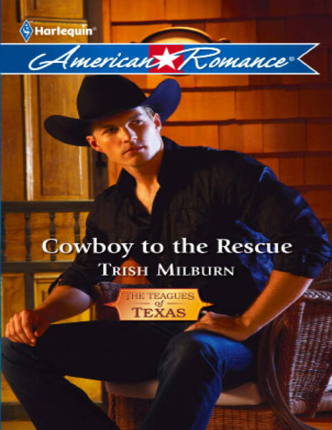 Cover image for book Cowboy to the Rescue