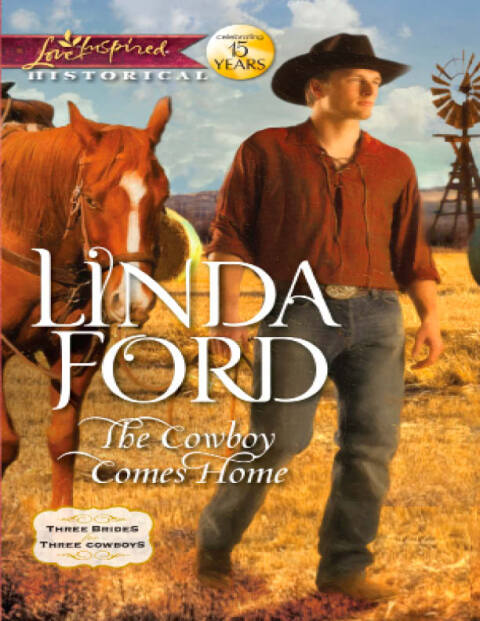Cover image for book The Cowboy Comes Home