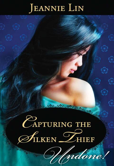 Cover image for book Capturing the Silken Thief