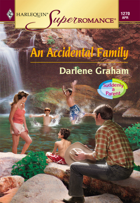 Cover image for book An Accidental Family