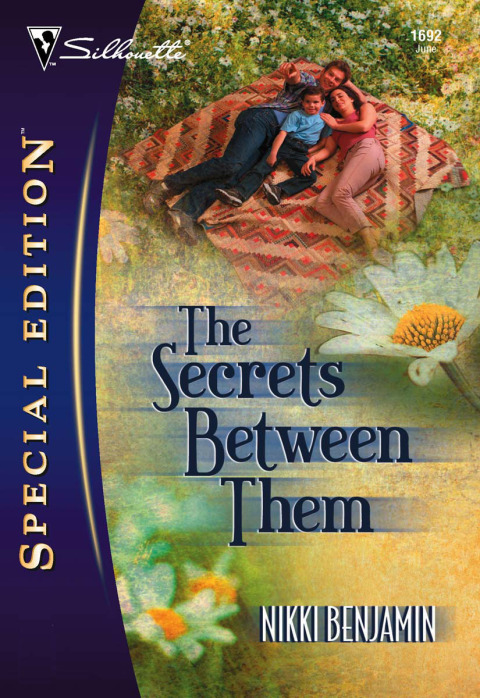 Cover image for book The Secrets Between Them