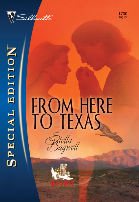 Cover image for book From Here to Texas