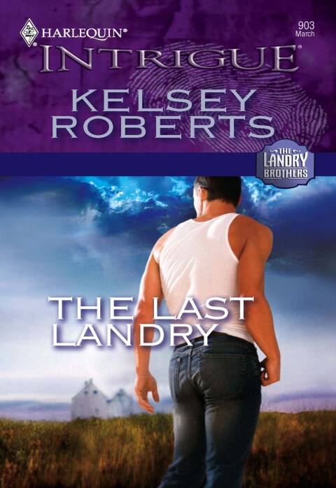 Cover image for book The Last Landry