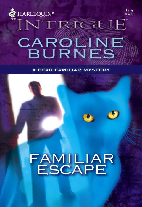 Cover image for book Familiar Escape