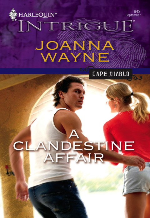 Cover image for book A Clandestine Affair