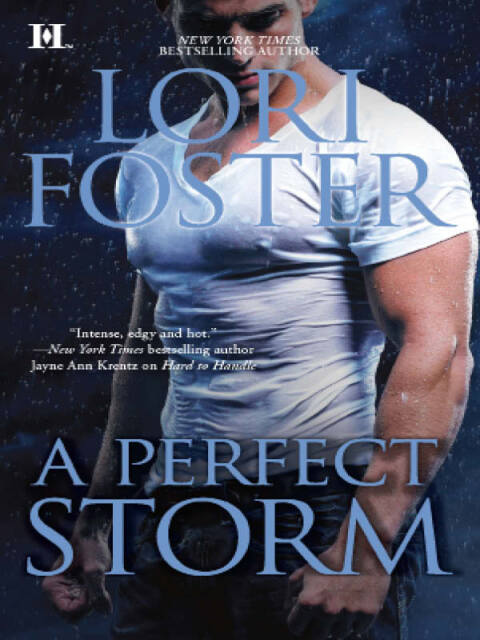 Cover image for book A Perfect Storm