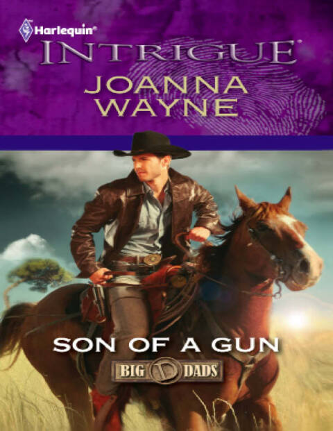 Cover image for book Son of a Gun