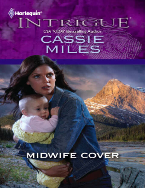 Cover image for book Midwife Cover