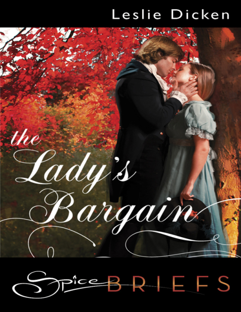Cover image for book The Lady's Bargain