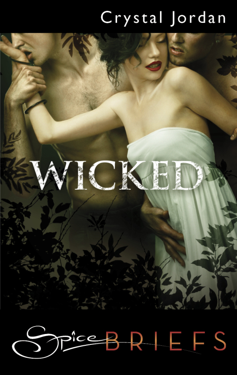 Cover image for book Wicked