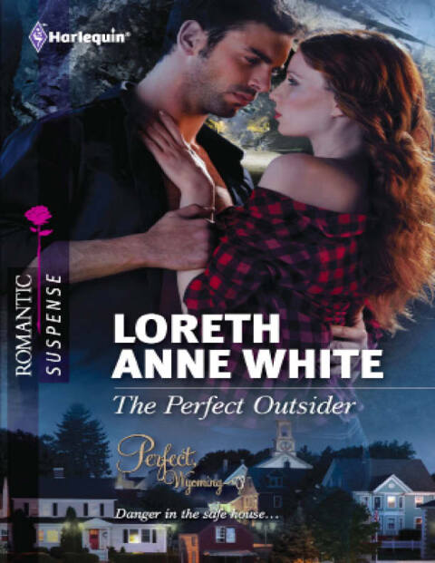 Cover image for book The Perfect Outsider