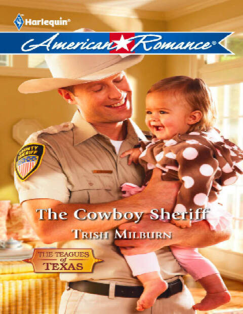 Cover image for book The Cowboy Sheriff