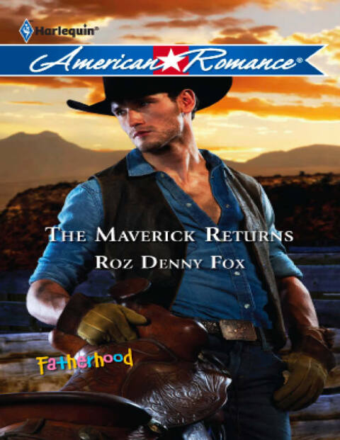 Cover image for book The Maverick Returns