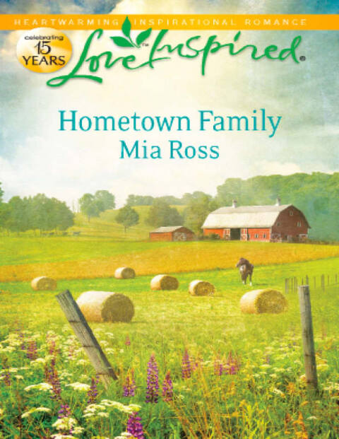 Cover image for book Hometown Family