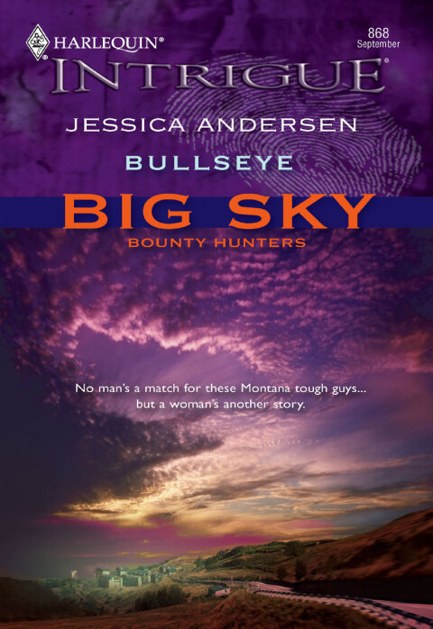 Cover image for book Bullseye