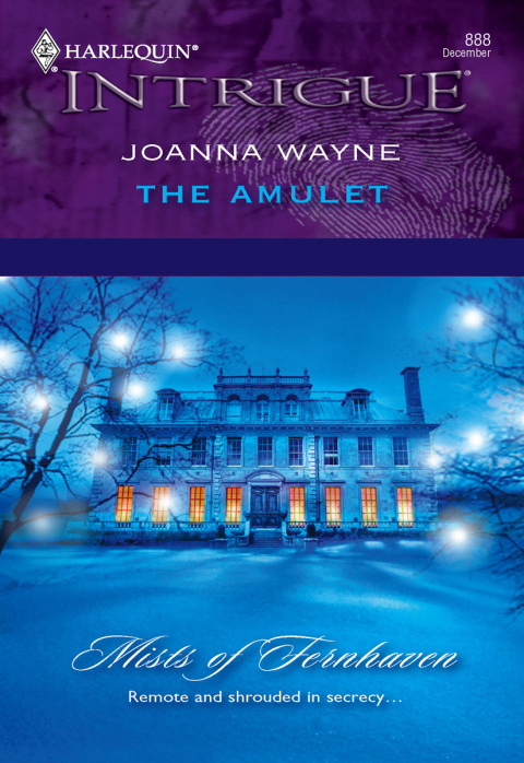 Cover image for book The Amulet