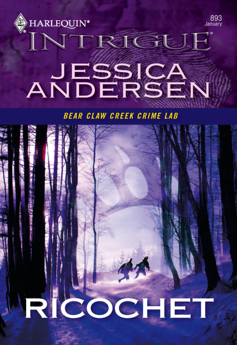 Cover image for book Ricochet