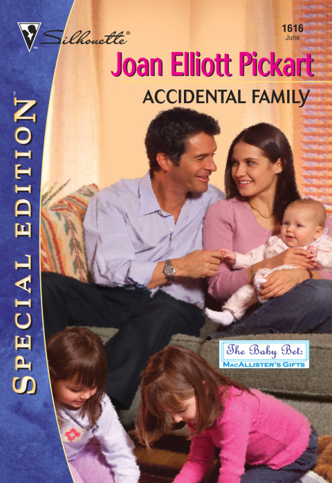 Cover image for book Accidental Family