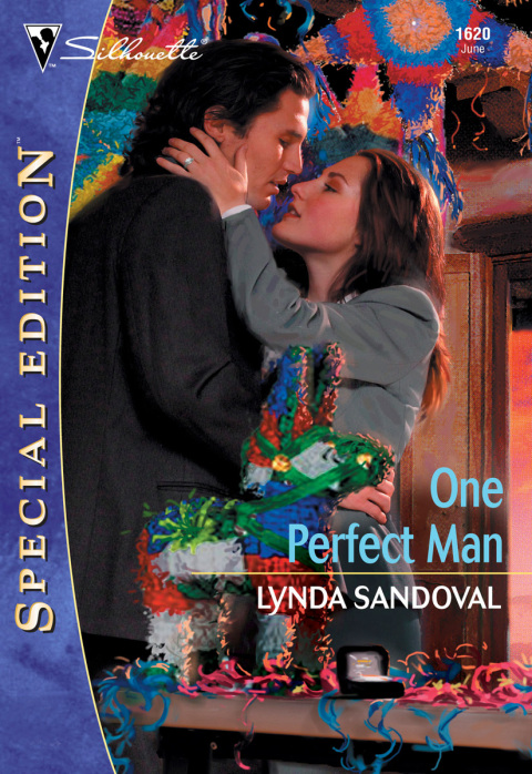 Cover image for book One Perfect Man