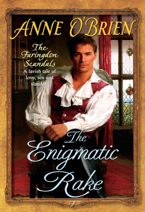 Cover image for book The Enigmatic Rake