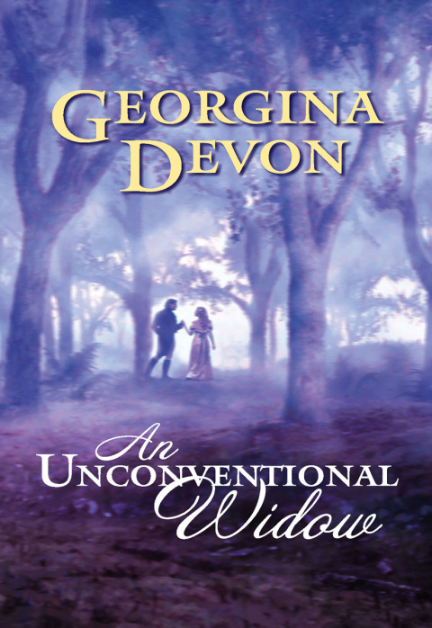 Cover image for book An Unconventional Widow