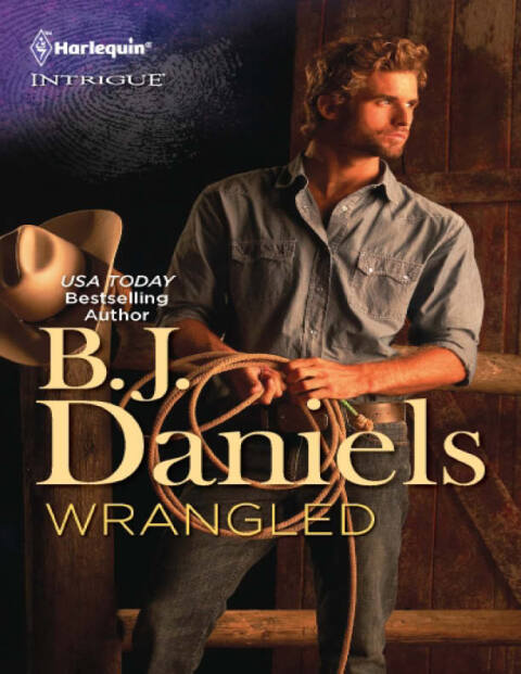 Cover image for book Wrangled