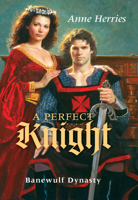 Cover image for book A Perfect Knight