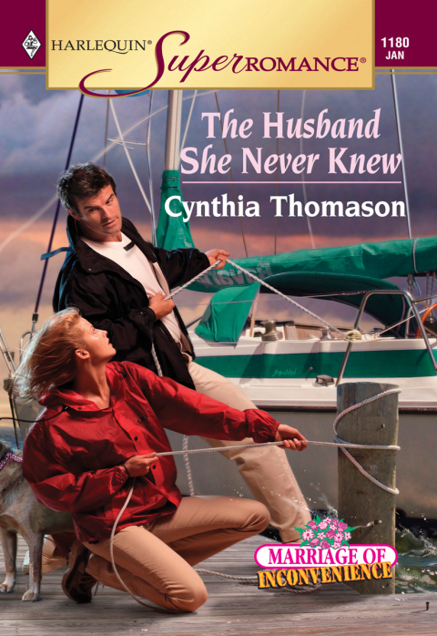 Cover image for book The Husband She Never Knew