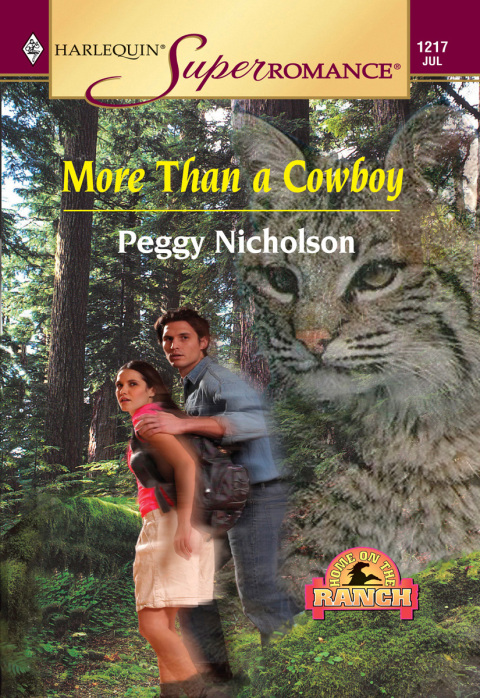 Cover image for book More Than a Cowboy