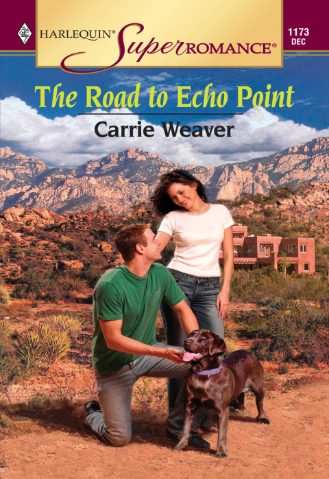 Cover image for book THE ROAD TO ECHO POINT