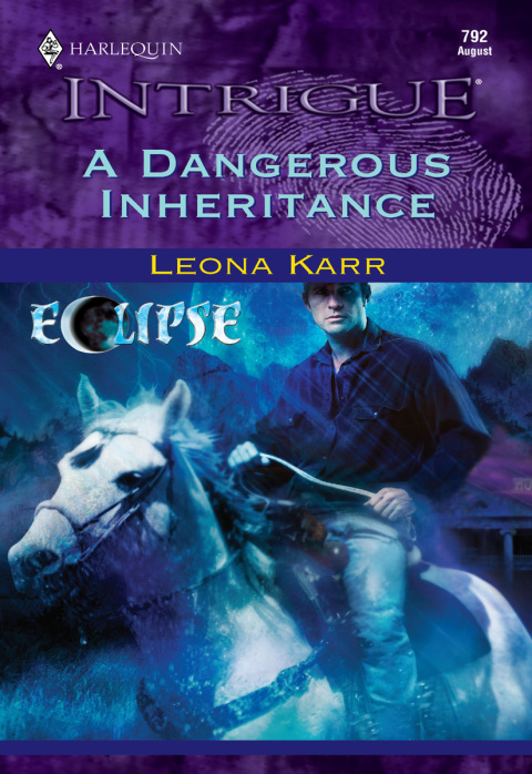 Cover image for book A Dangerous Inheritance