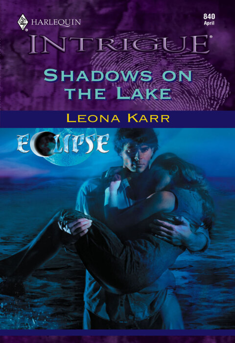 Cover image for book Shadows on the Lake