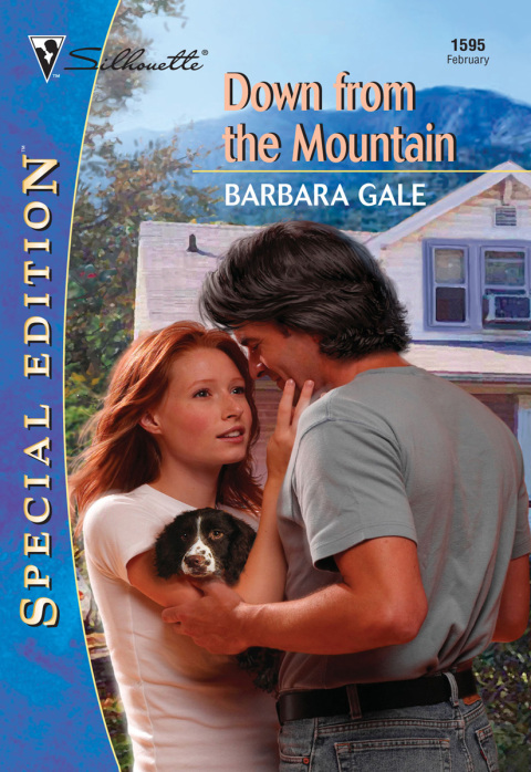 Cover image for book Down from the Mountain