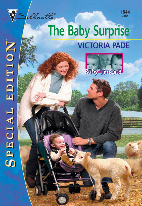 Cover image for book THE BABY SURPRISE
