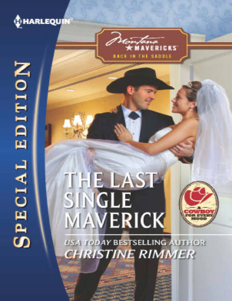Cover image for book The Last Single Maverick