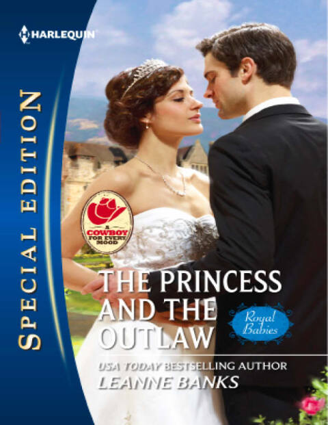Cover image for book The Princess and the Outlaw