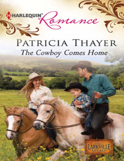 Cover image for book The Cowboy Comes Home