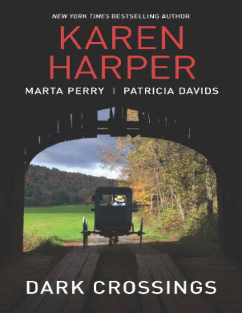 Cover image for book Dark Crossings