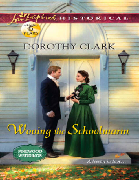 Cover image for book Wooing the Schoolmarm