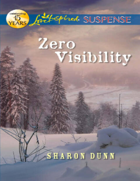 Cover image for book Zero Visibility