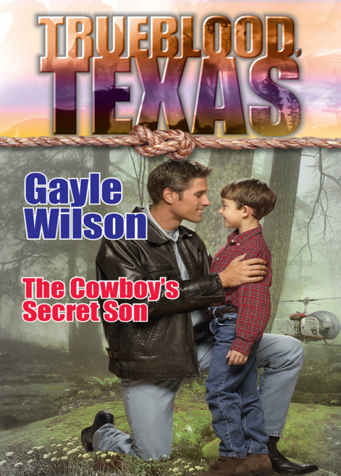 Cover image for book THE COWBOY'S SECRET SON