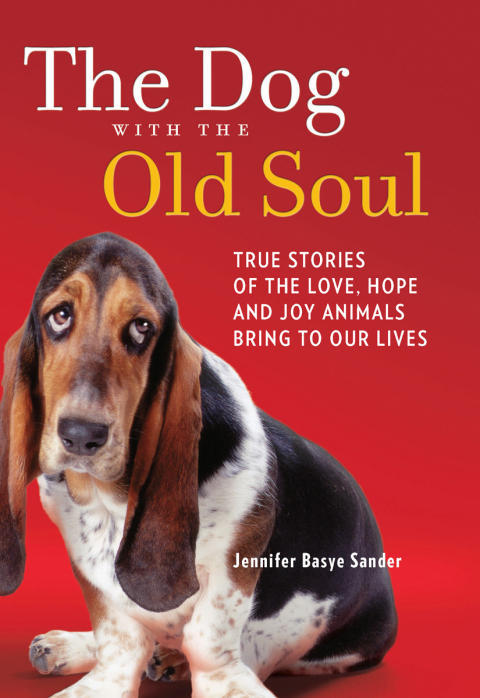 Cover image for book The Dog with the Old Soul