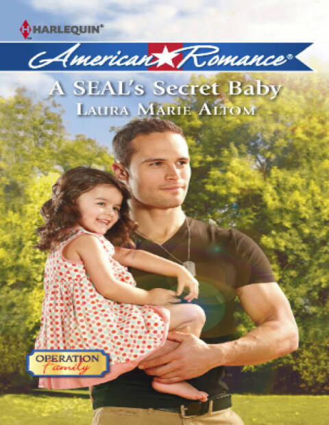 Cover image for book A SEAL's Secret Baby