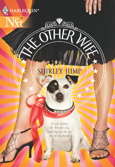 Cover image for book The Other Wife